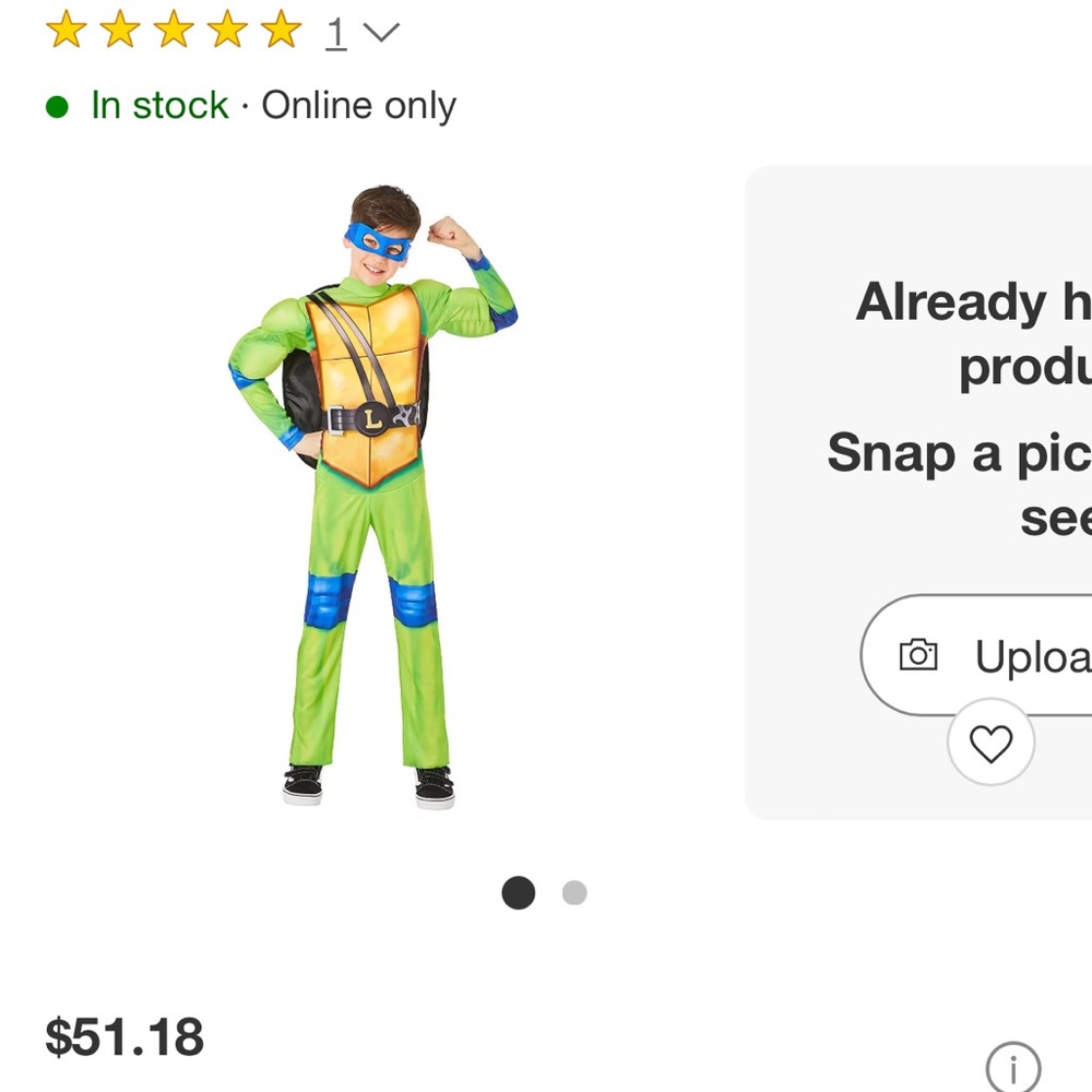 Teenage mutant ninja turtles Leonardo costume